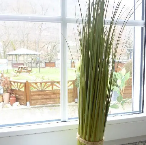 Ferienappartments Neumann 아파트